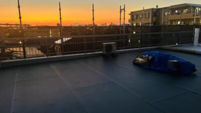 IMG_8754.jpeg