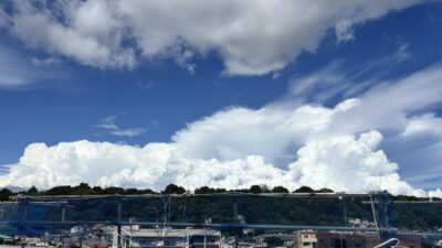 IMG_9858.jpeg